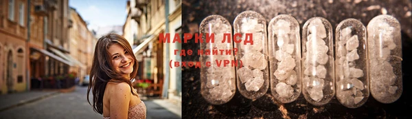 прущие грибы Верхнеуральск